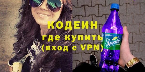 сатива Инсар