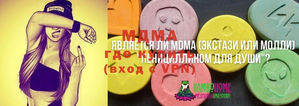 сатива Инсар