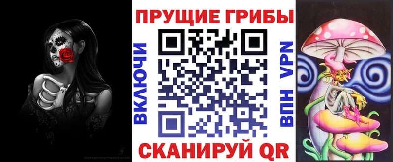 Псилоцибиновые грибы Psilocybe  сколько стоит  Таштагол 